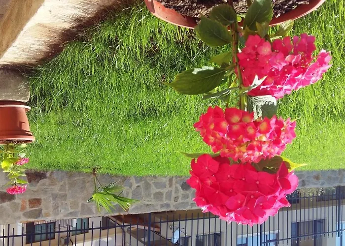 ла мер апартменти