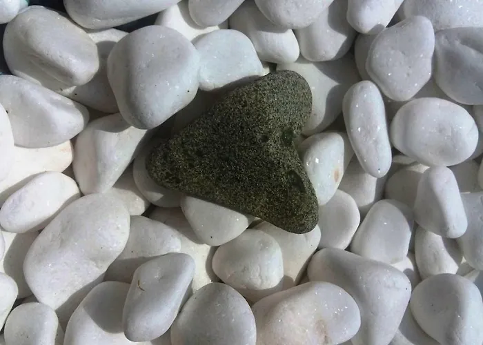 La מלון דירות 4*